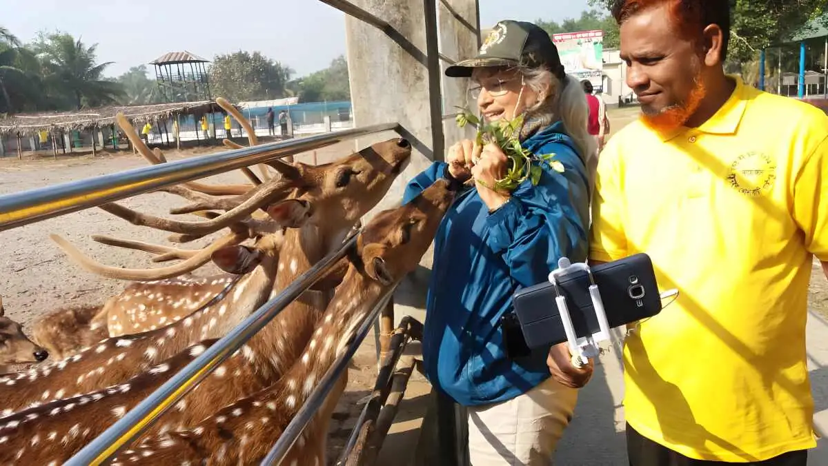 Discover the Best 6-Day Sundarbans and Bagerhat Tour from Dhaka