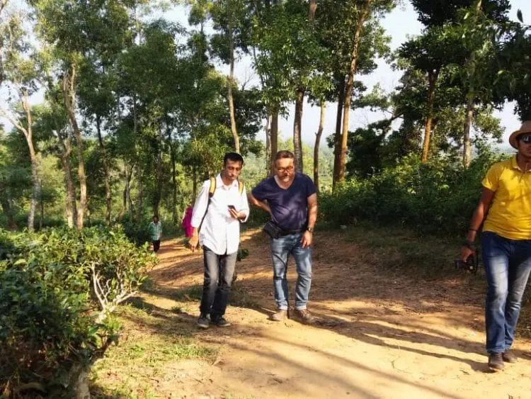 2-Day Private Srimangal Tea Garden Tour from Dhaka Wonder