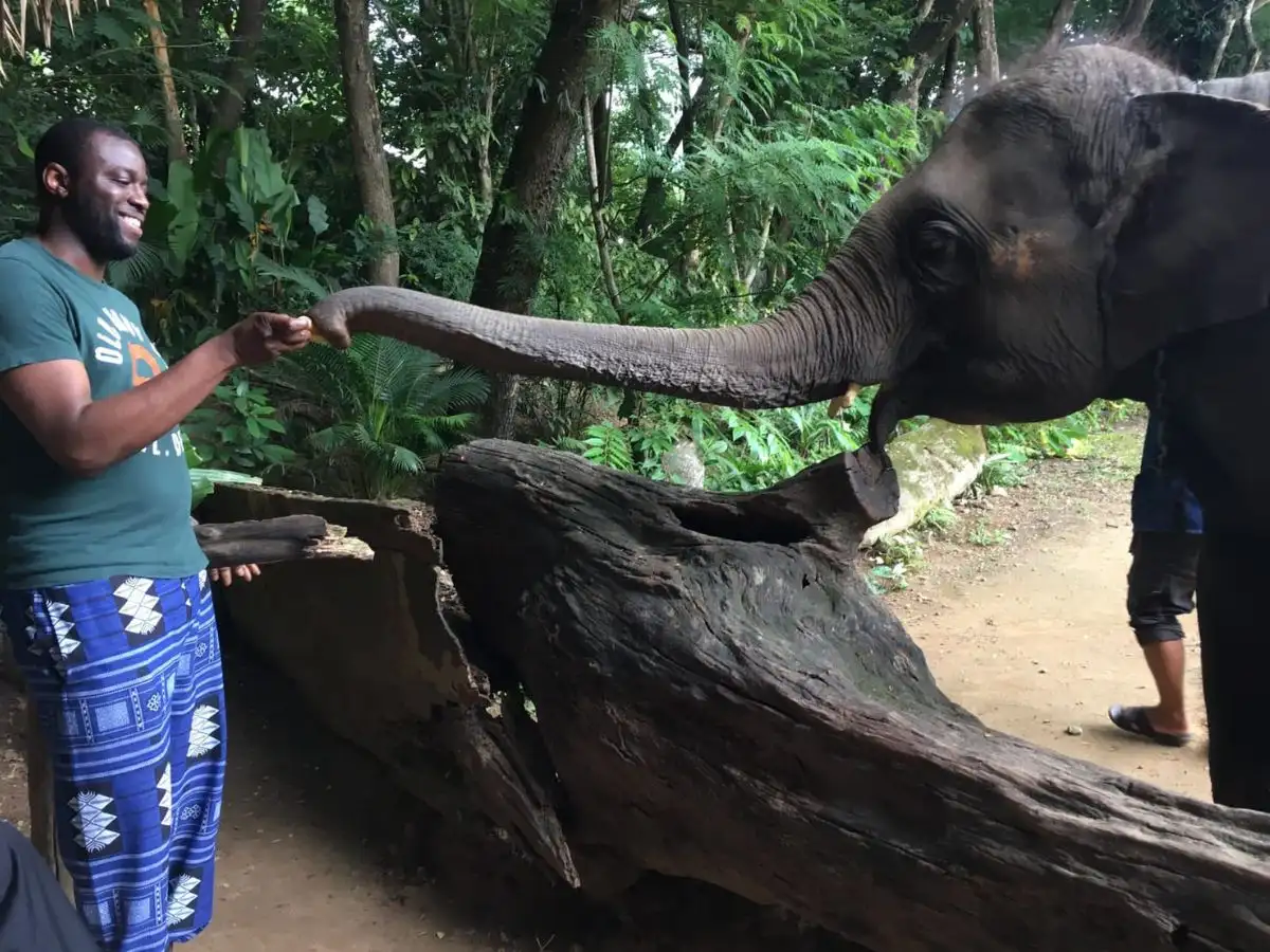 Exciting Mae Rim Tour with Elephant Ride Private Transfer Personal Guide