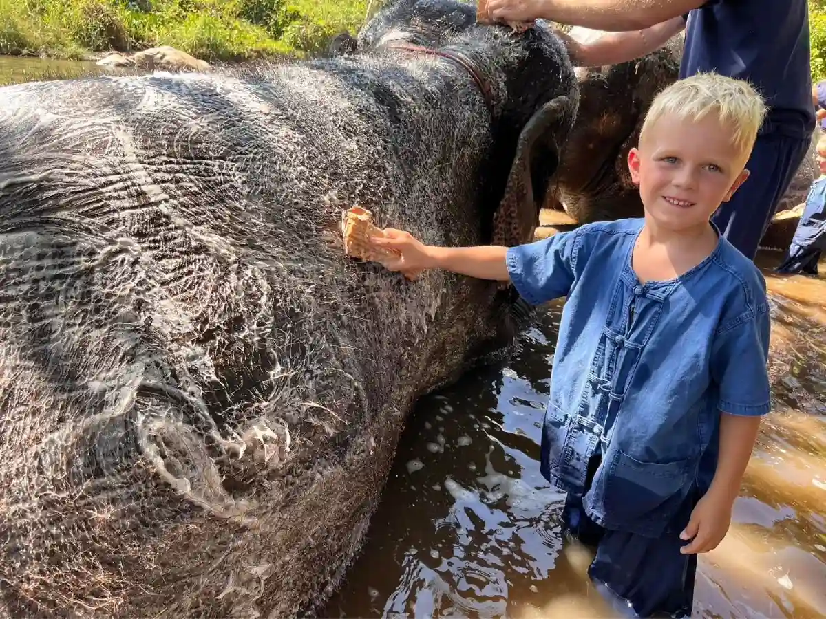 Exciting Mae Rim Tour with Elephant Ride Private Transfer Personal Guide