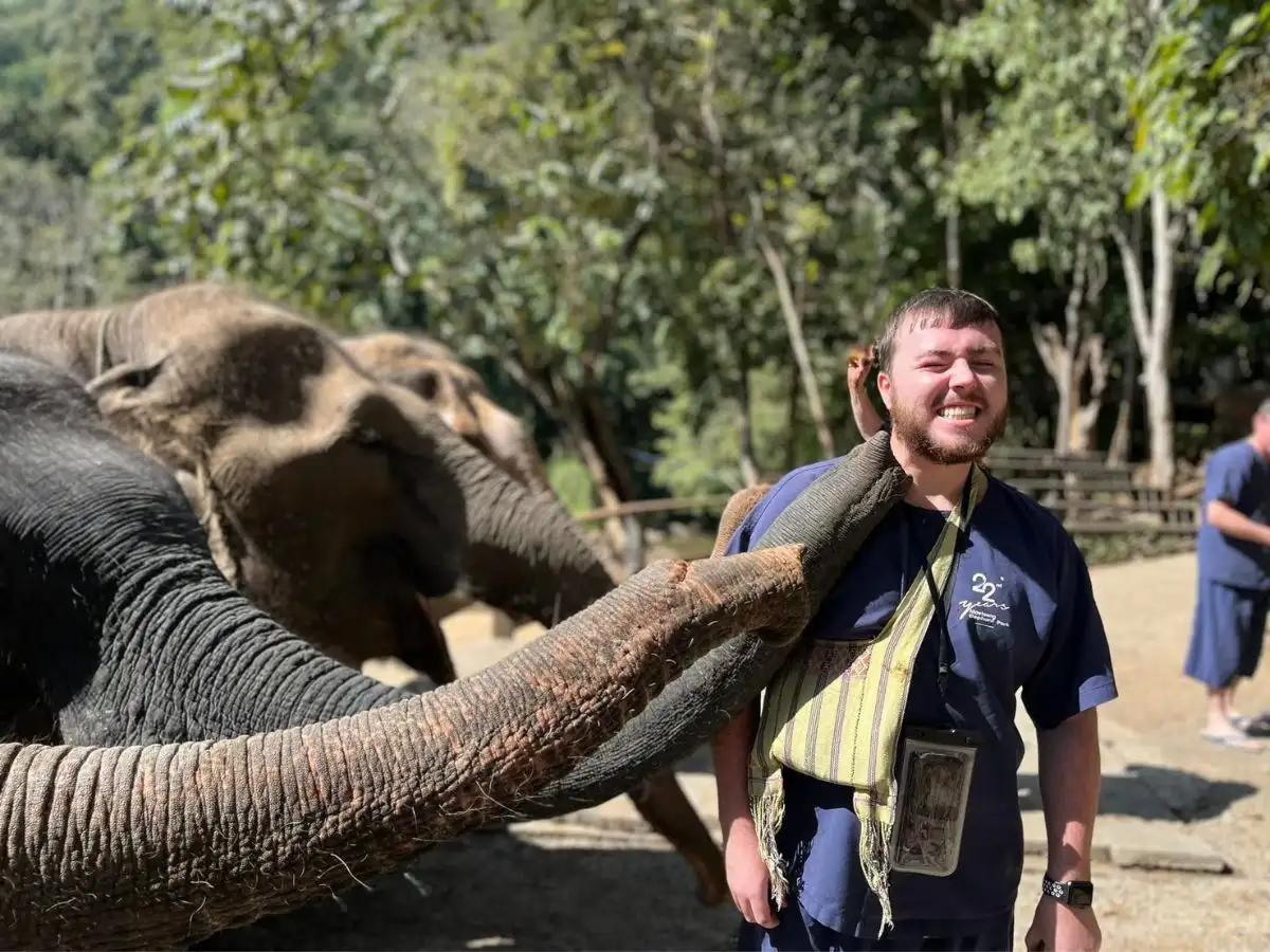 Exciting Mae Rim Tour with Elephant Ride Private Transfer Personal Guide