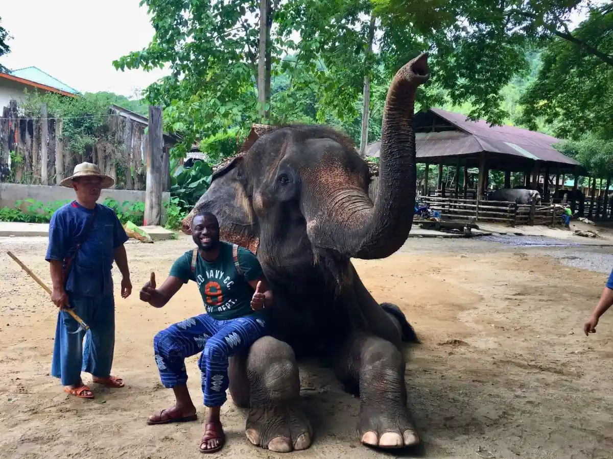 Exciting Mae Rim Tour with Elephant Ride Private Transfer Personal Guide