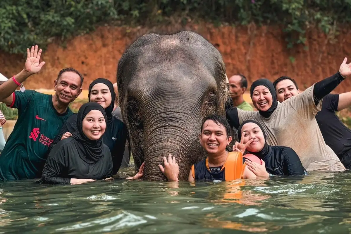Half-Day Phuket Elephant Care Sanctuary Tour Experience You Will Always Remember