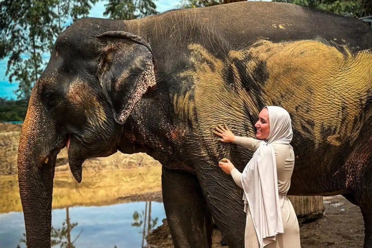 Half-Day Phuket Elephant Care Sanctuary Tour Experience You Will Always Remember