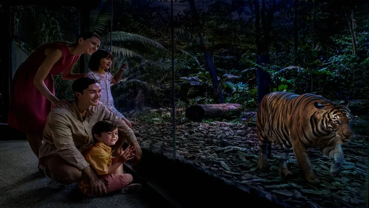 Skip Line Singapore Night Safari Direct Entry Ticket with Tram Ride