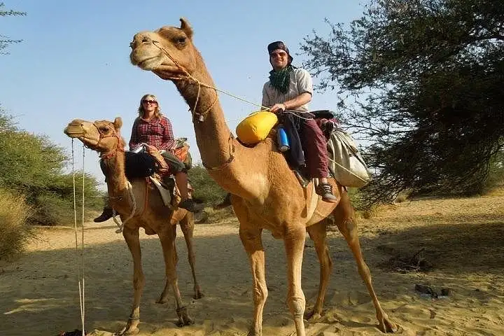 Private Chandigarh Day Tour from New Delhi Unforgettable Adventure