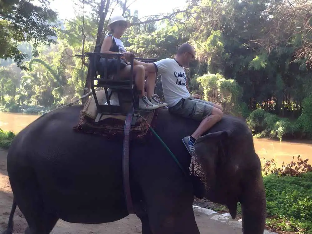 Chiang Mai Maetaeng Elephant Park Tour Enjoy Thrilling Elephant Fun