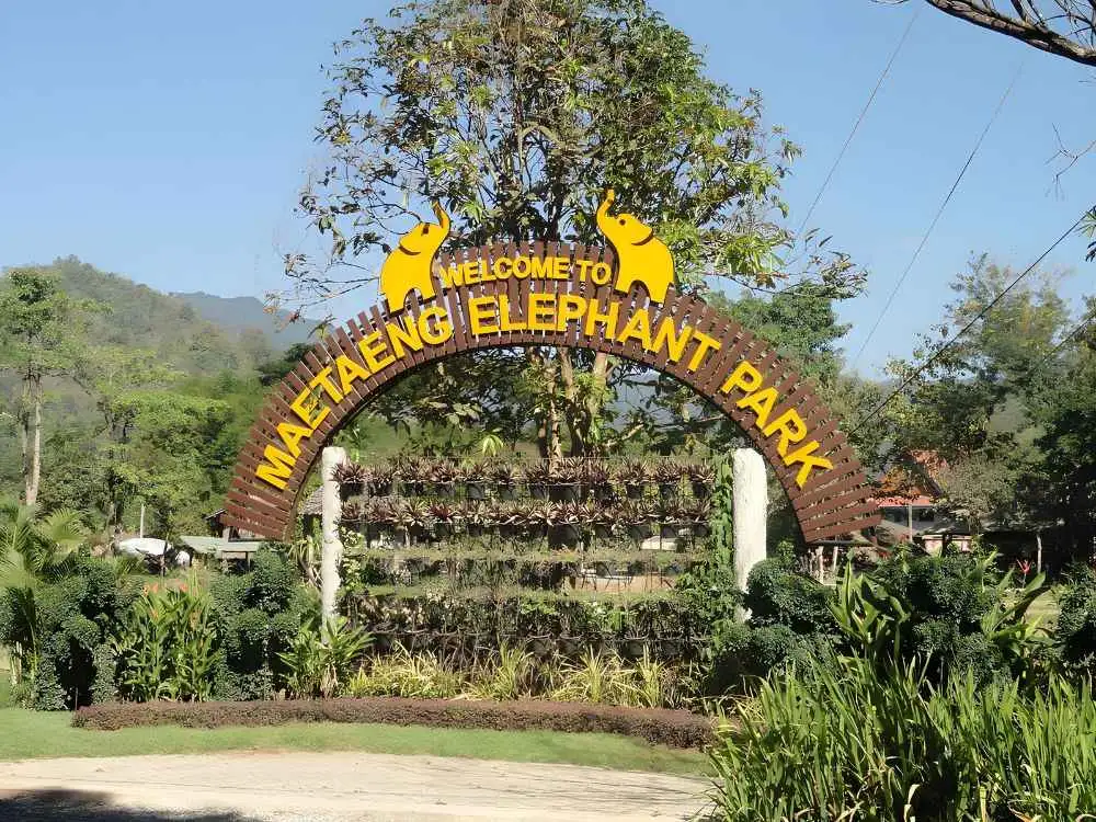 Chiang Mai Maetaeng Elephant Park Tour Enjoy Thrilling Elephant Fun