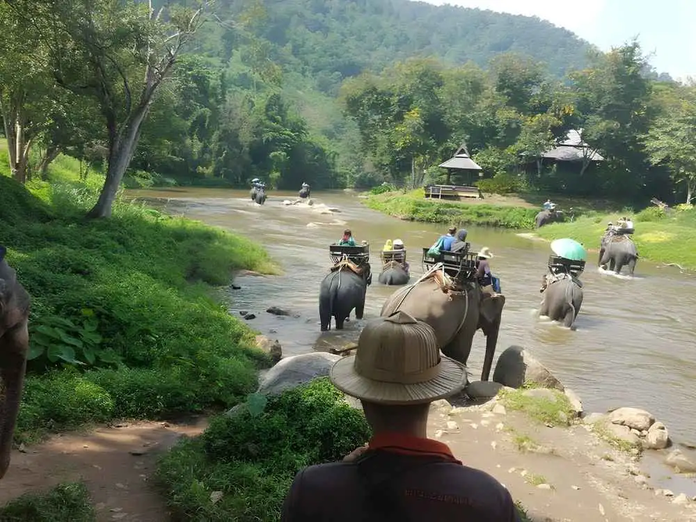Chiang Mai Maetaeng Elephant Park Tour Enjoy Thrilling Elephant Fun