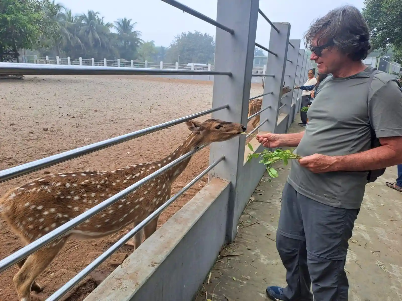 6-Day Sundarbans and Bagerhat Nature and History Tour from Dhaka